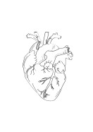 Heart Anatomy Line Art | Stwórz własny plakat