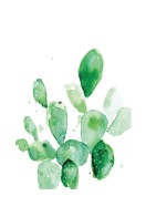 Cactus Watercolor Art | Stwórz własny plakat