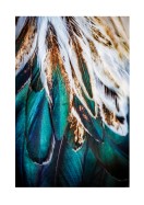Colorful Feathers | Stwórz własny plakat
