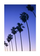Palm Trees At Sunset In California | Stwórz własny plakat