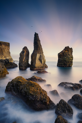 Sunrise At Coastline In Iceland