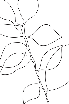 Botanical Line Art