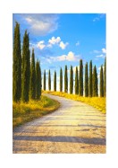 Cyprus Trees In Italy | Stwórz własny plakat